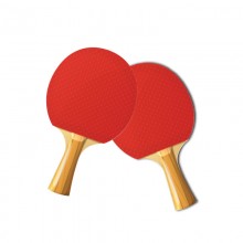 Table Tennis Bat (Training) -  乒乓球拍 (训练版)