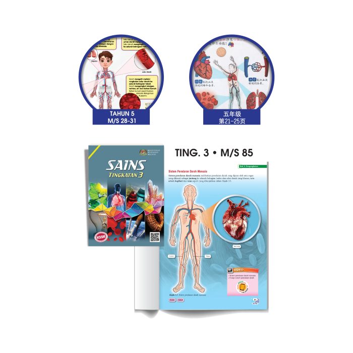 <p style="font-size: 20px; margin-bottom: 0px; padding-top: 0px;">Model Sistem Peredaran Darah Manusia </p><p style="font-size: 20px; color: red; margin-bottom: 0px; padding-top: 0px;">人体血液循环系统模型</p> - Image 2