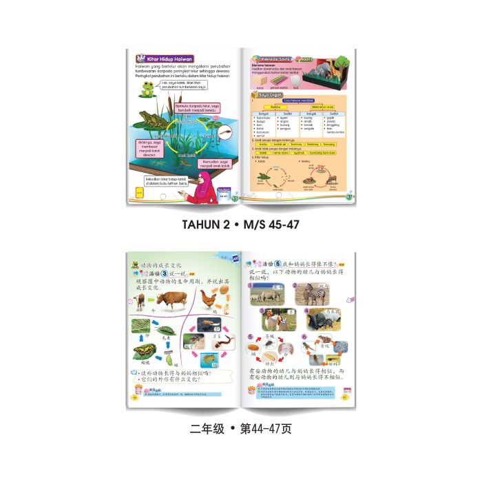 <p style="font-size: 20px; margin-bottom: 0px; padding-top: 0px;">Carta Roda Kitaran Hidup </p><p style="font-size: 20px; color: red; margin-bottom: 0px; padding-top: 0px;">生命周期转轮图表</p> - Image 3