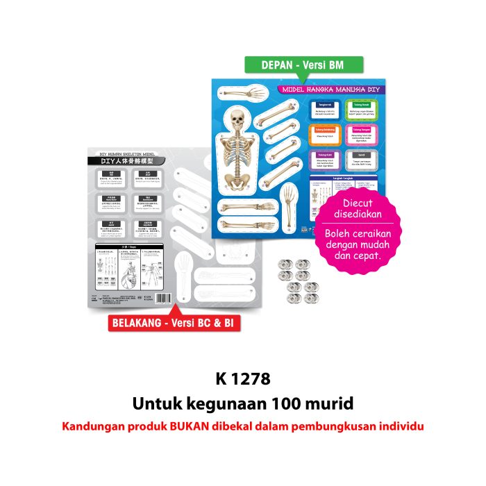 <p style="font-size: 20px; margin-bottom: 0px; padding-top: 0px;">Model Rangka Manusia DIY </p><p style="font-size: 20px; color: red; margin-bottom: 0px; padding-top: 0px;">DIY 人体骨骼模型</p> - Image 5