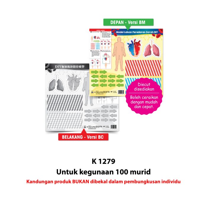 <p style="font-size: 20px; margin-bottom: 0px; padding-top: 0px;">Model Laluan Peredaran Darah DIY </p><p style="font-size: 20px; color: red; margin-bottom: 0px; padding-top: 0px;">DIY 血液循环路径模型</p> - Image 4