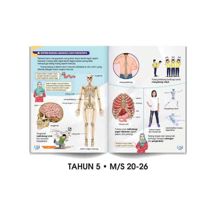 <p style="font-size: 20px; margin-bottom: 0px; padding-top: 0px;">Carta Selak KENALI & SAYANGI Badan Kita </p><p style="font-size: 20px; color: red; margin-bottom: 0px; padding-top: 0px;">认识身体, 爱护自己 </p><p></p><p style="font-size: 20px; margin-bottom: 0px; padding-top: 0px;">TOPIK 1: STRUKTUR BADAN MANUSIA </p> - Image 2