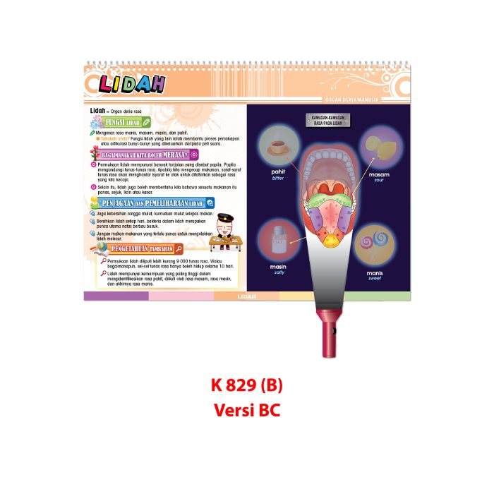 <p style="font-size: 20px; margin-bottom: 0px; padding-top: 0px;">Carta Selak KENALI & SAYANGI Badan Kita </p><p style="font-size: 20px; color: red; margin-bottom: 0px; padding-top: 0px;">认识身体, 爱护自己 </p><p></p><p style="font-size: 20px; margin-bottom: 0px; padding-top: 0px;">TOPIK 2: ORGAN DERIA MANUSIA </p><p style="font-size: 20px; color: red; margin-bottom: 0px; padding-top: 0px;">感觉器官</p> - Image 3
