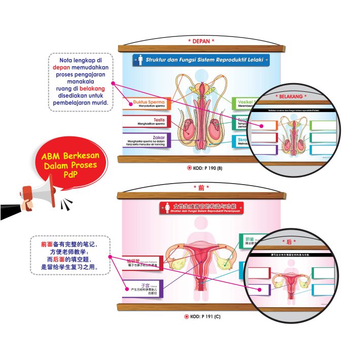 <p style="font-size: 20px; margin-bottom: 0px; padding-top: 0px;">Siri Papan Putih Gulung Lestari Ilmu </p><p style="font-size: 20px; color: red; margin-bottom: 0px; padding-top: 0px;">可卷式教学白板系列 </p>