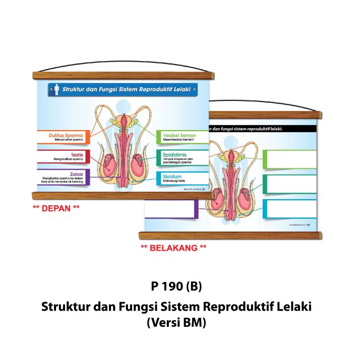 <p style="font-size: 20px; margin-bottom: 0px; padding-top: 0px;">Siri Papan Putih Gulung Lestari Ilmu </p><p style="font-size: 20px; color: red; margin-bottom: 0px; padding-top: 0px;">可卷式教学白板系列 </p> - Image 5