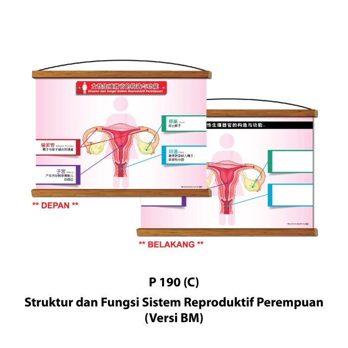<p style="font-size: 20px; margin-bottom: 0px; padding-top: 0px;">Siri Papan Putih Gulung Lestari Ilmu </p><p style="font-size: 20px; color: red; margin-bottom: 0px; padding-top: 0px;">可卷式教学白板系列 </p> - Image 7