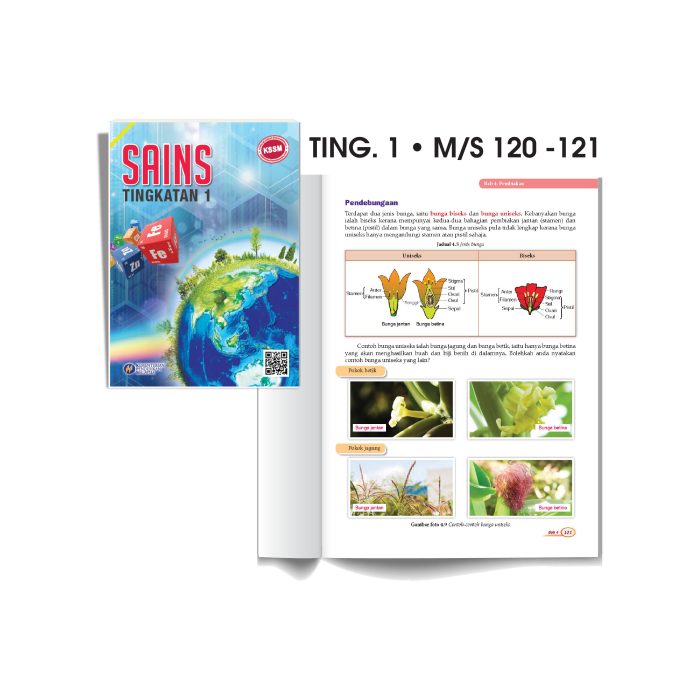 <p style="font-size: 20px; margin-bottom: 0px; padding-top: 0px;">Struktur Model Bunga Mekar </p><p style="font-size: 20px; color: red; margin-bottom: 0px; padding-top: 0px;">花朵结构模型</p> - Image 2