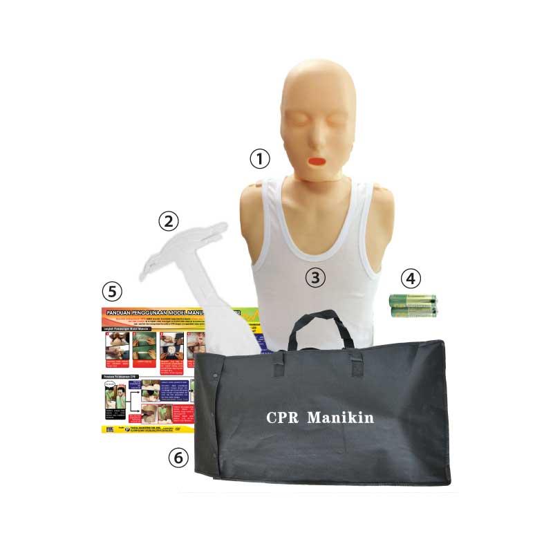 Model Manusia CPR Elektronik - 电子心肺复苏人体模型