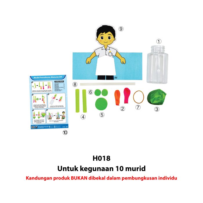 Model Pernafasan Manusia DIY - DIY 人体呼吸模型 - Image 5