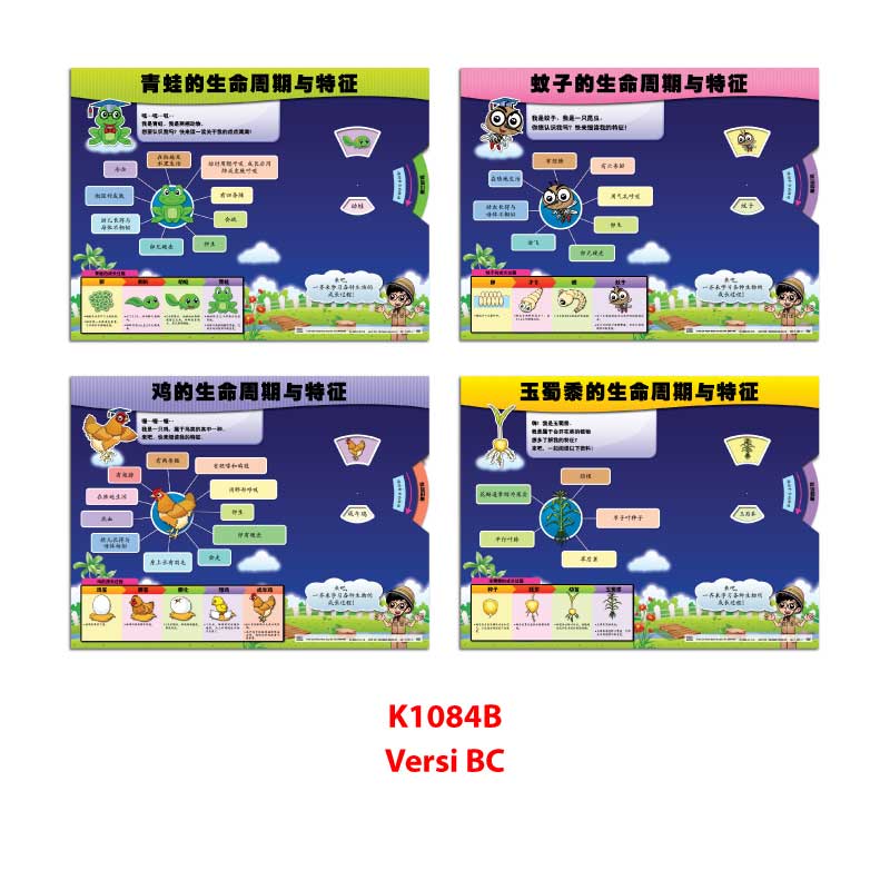 Carta Roda Kitaran Hidup - 生命周期转轮图表 - Image 5