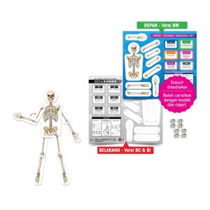 Model Rangka Manusia DIY - DIY 人体骨骼模型
