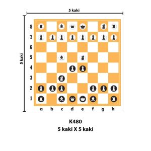 International Chess - 国际象棋