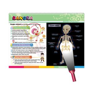 Carta Selak KENALI & SAYANGI Badan Kita - TOPIK 1: STRUKTUR BADAN MANUSIA