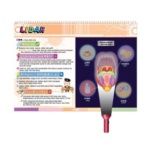 Carta Selak KENALI & SAYANGI Badan Kita - TOPIK 2: ORGAN DERIA MANUSIA - 感觉器官