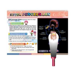 Carta Selak KENALI & SAYANGI Badan Kita - TOPIK 3: SISTEM BADAN MANUSIA