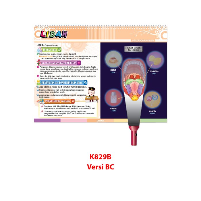 Carta Selak KENALI & SAYANGI Badan Kita - TOPIK 2: ORGAN DERIA MANUSIA - 感觉器官 - Image 3
