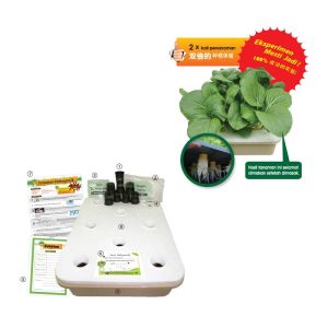 Set Lengkap Penanaman Hidroponik - 水培栽种工具与材料