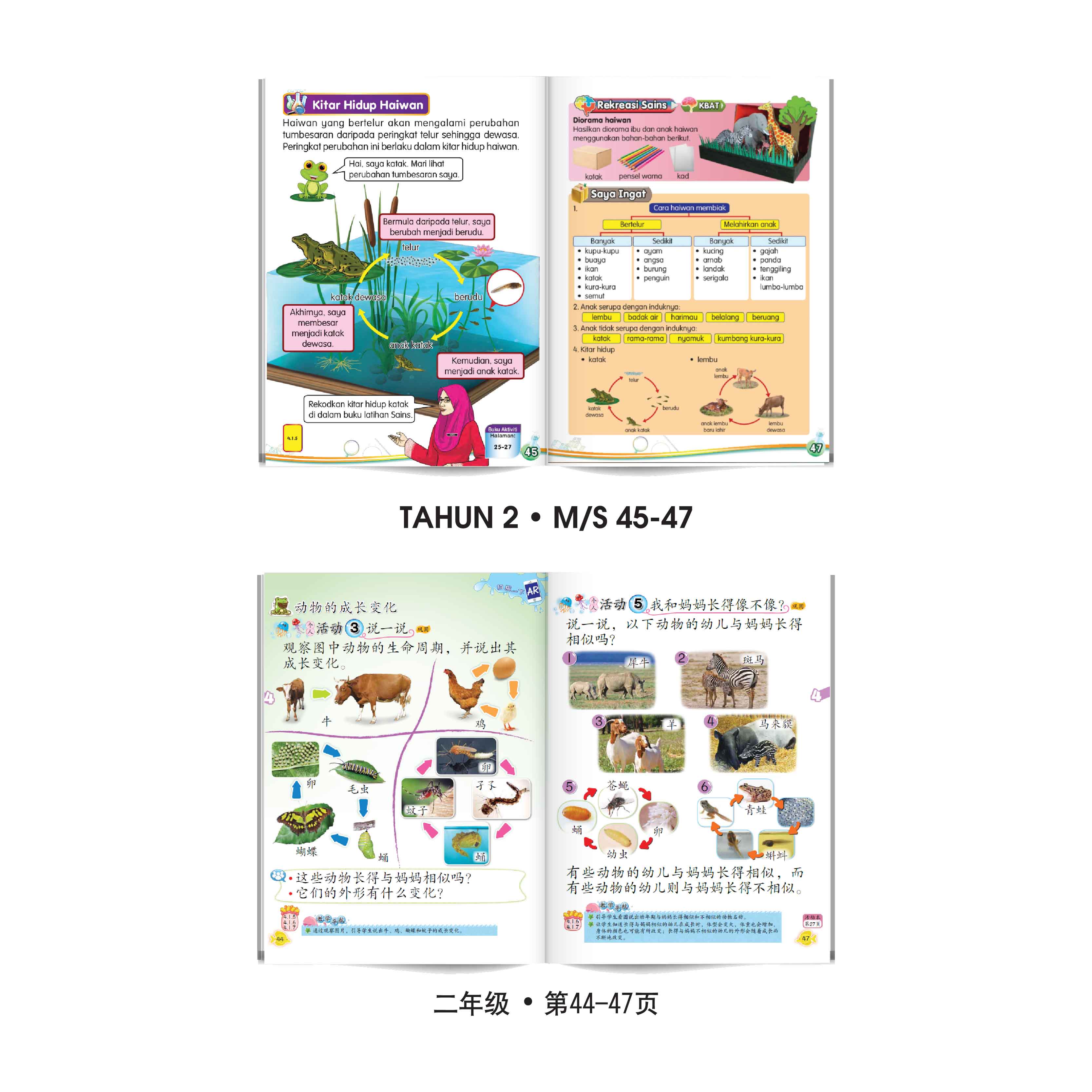Carta Roda Kitaran Hidup - 生命周期转轮图表 - Image 5
