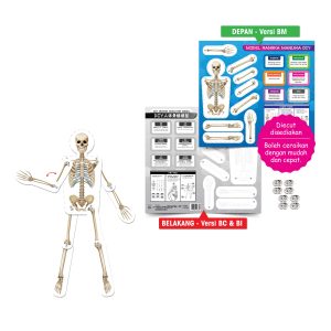 Model Rangka Manusia DIY - DIY 人体骨骼模型