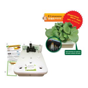 Set Lengkap Penanaman Hidroponik - 水培栽种工具与材料