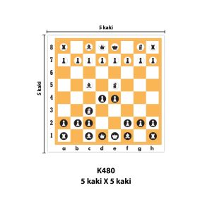 International Chess - 国际象棋