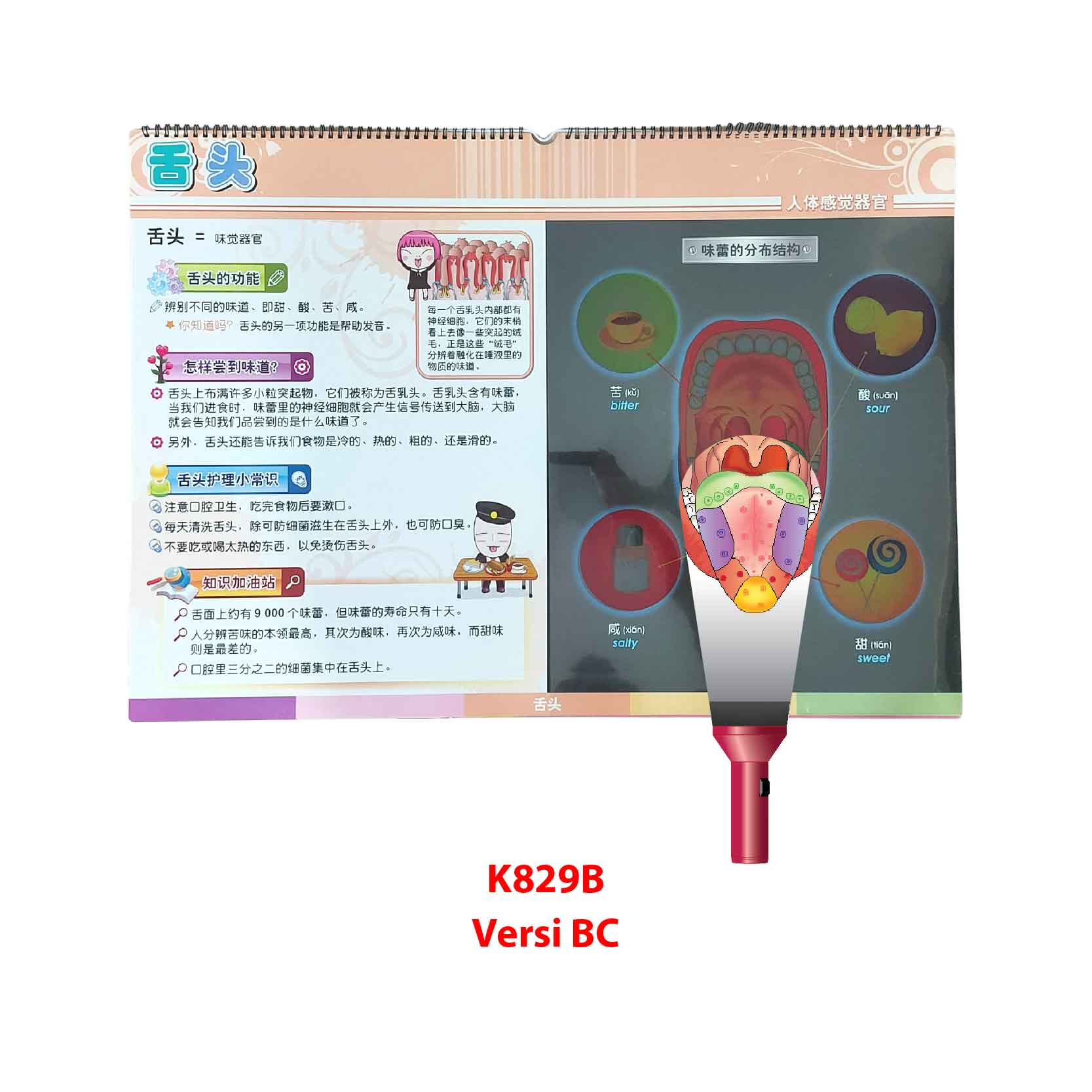 Carta Selak KENALI & SAYANGI Badan Kita - TOPIK 2: ORGAN DERIA MANUSIA - 感觉器官 - Image 3